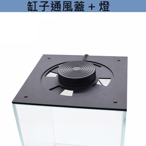 tw-11134207-7r990-lxpi1gzqjndy7e