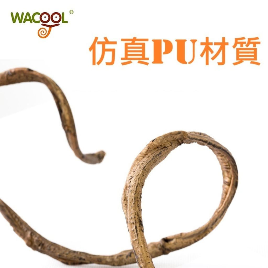 tw-11134207-7rbk7-m70xiknmdnmsd8