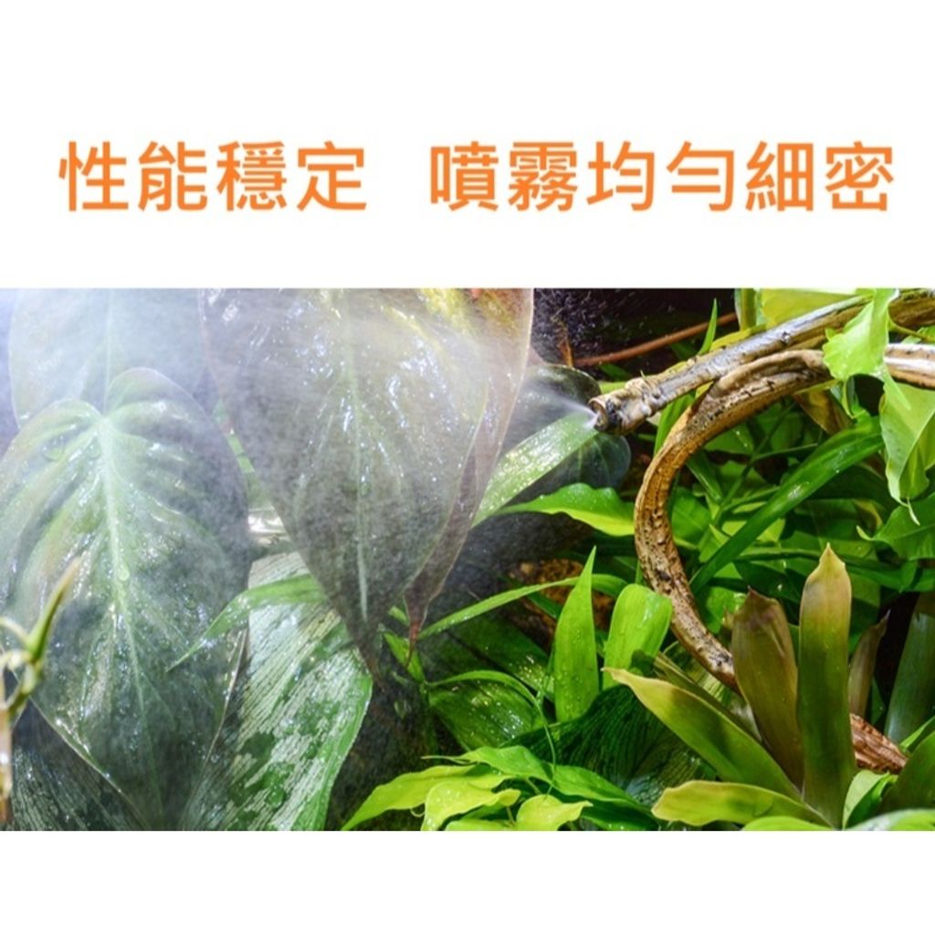 tw-11134207-7rbk0-m70xiknmdni7f9