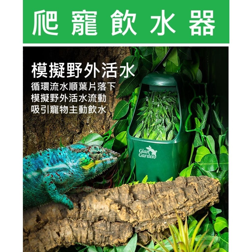 tw-11134207-7rbk8-m70zxt5so21u84