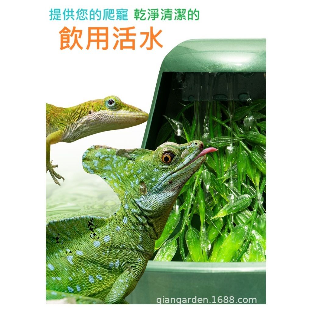 tw-11134207-7rbke-m70zxt62p28ob6