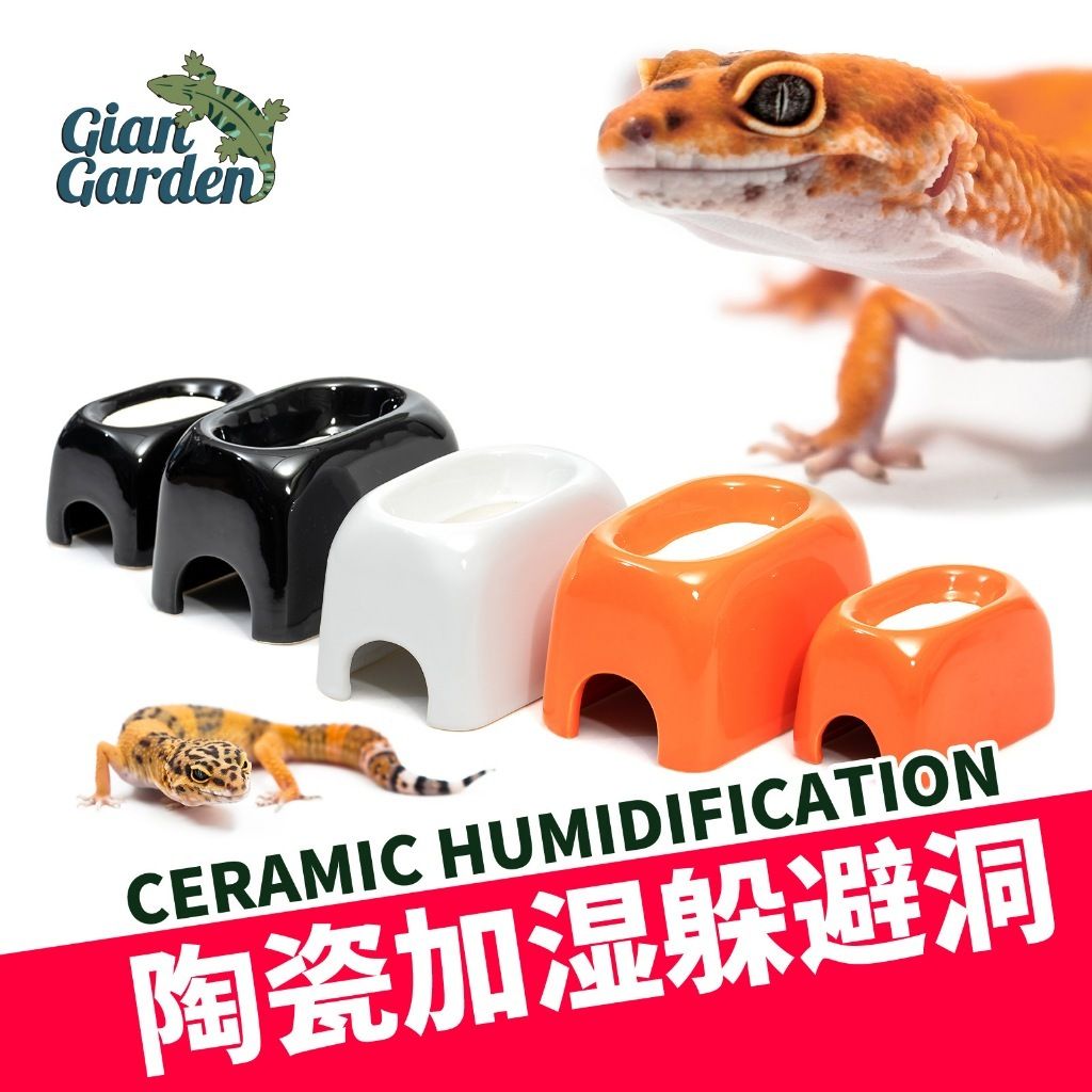 tw-11134207-7rbke-m76rgatoypiy46