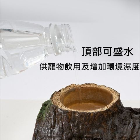 tw-11134207-7rbkc-m7tk5dey0tpmd2