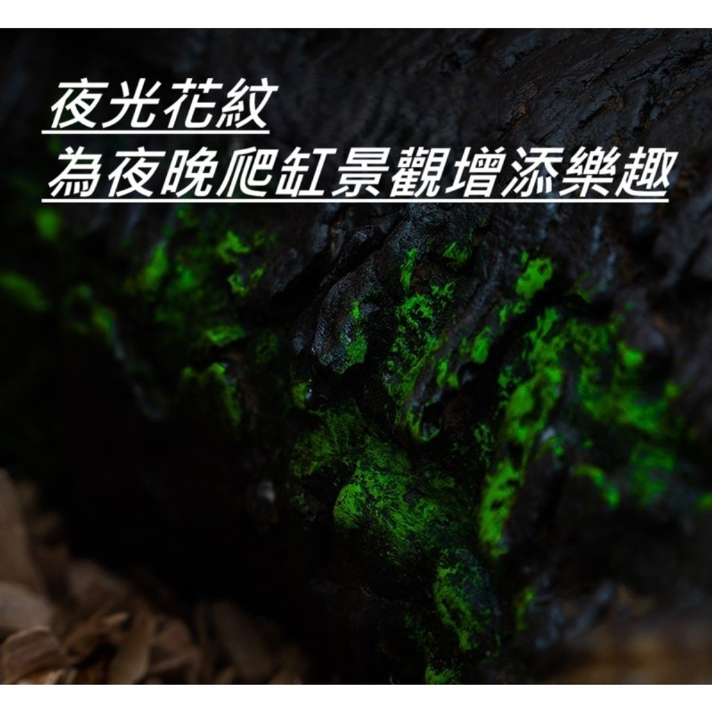 tw-11134207-7rbka-m7tk5deo2mv03b