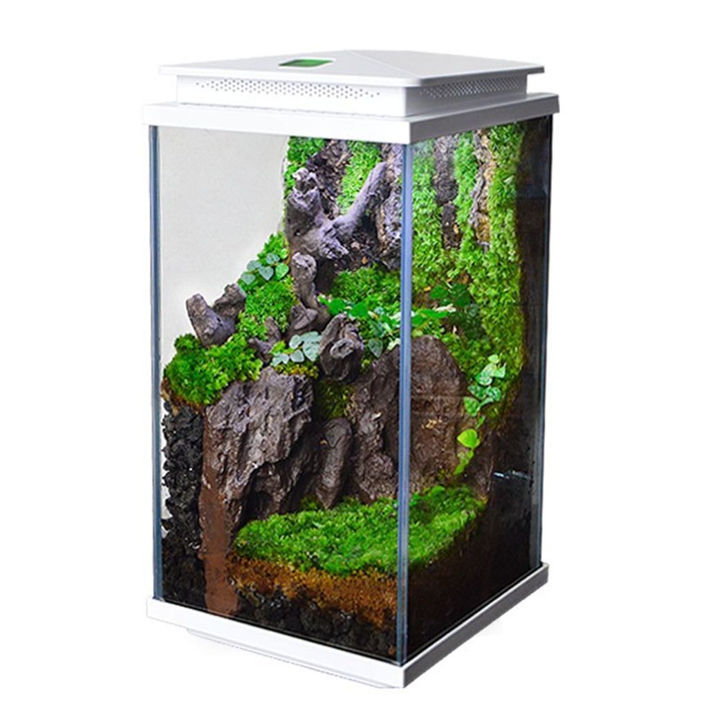 tw-11134207-7rbk3-m8237x70c8f4c4