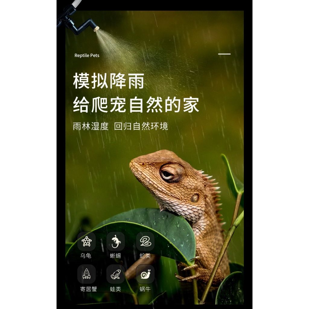 tw-11134207-7rbk3-m8244zdcl16h98