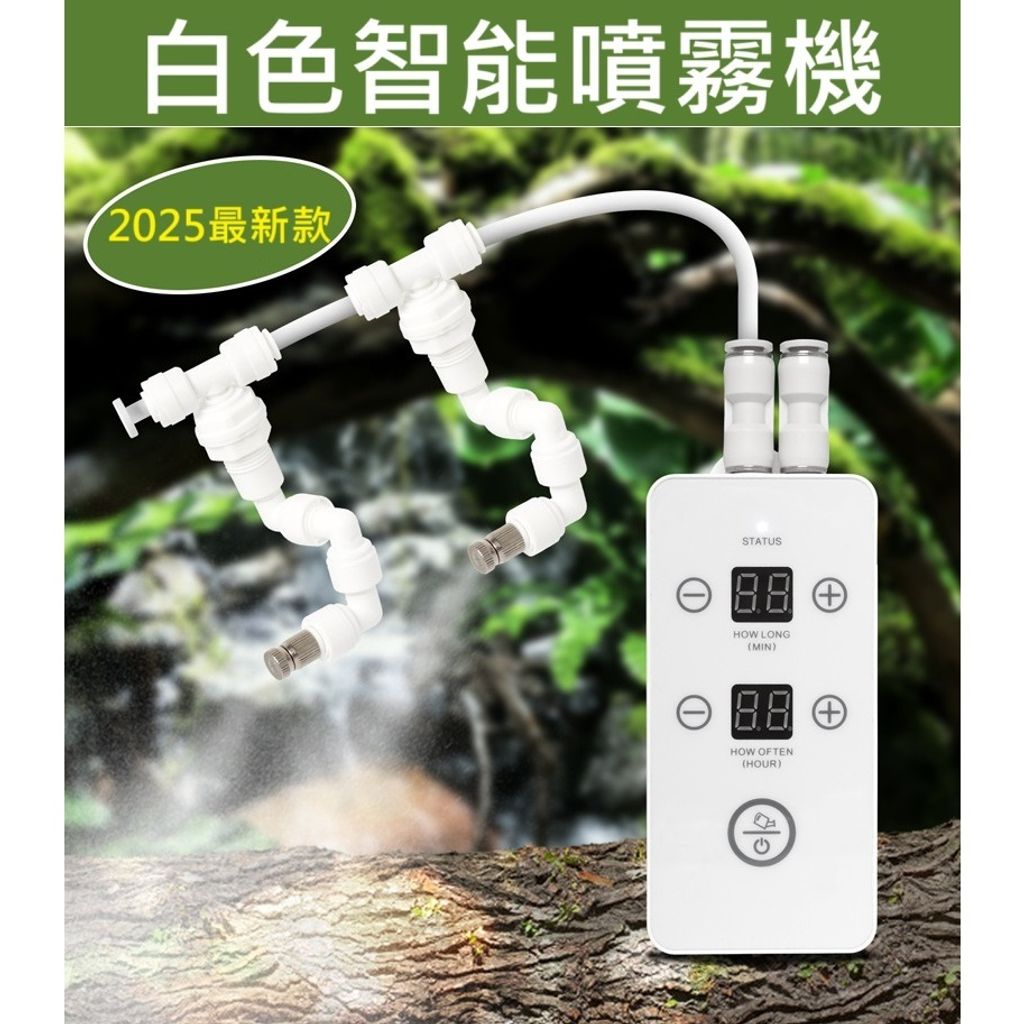 tw-11134207-7rbk4-m8ptpidvaykl1b