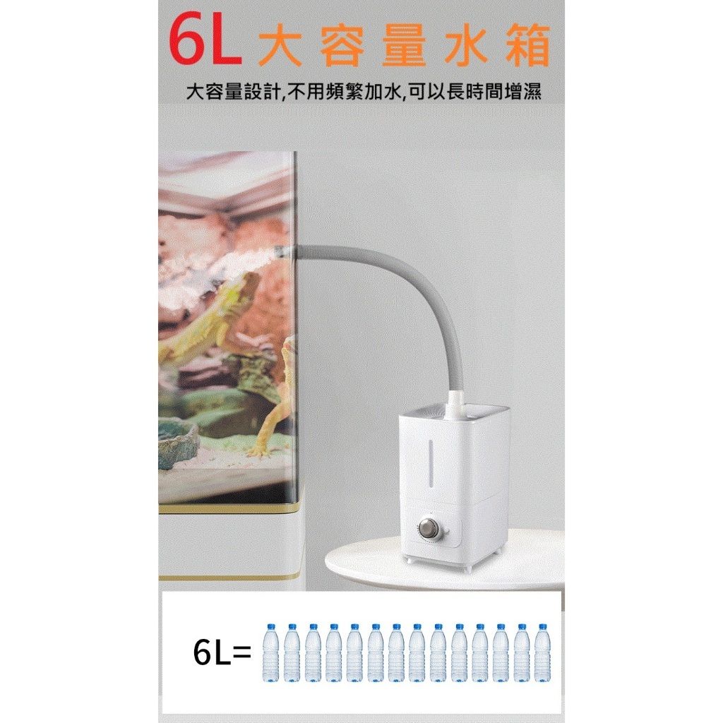 tw-11134207-7rbk1-maikqii3uuvqdd