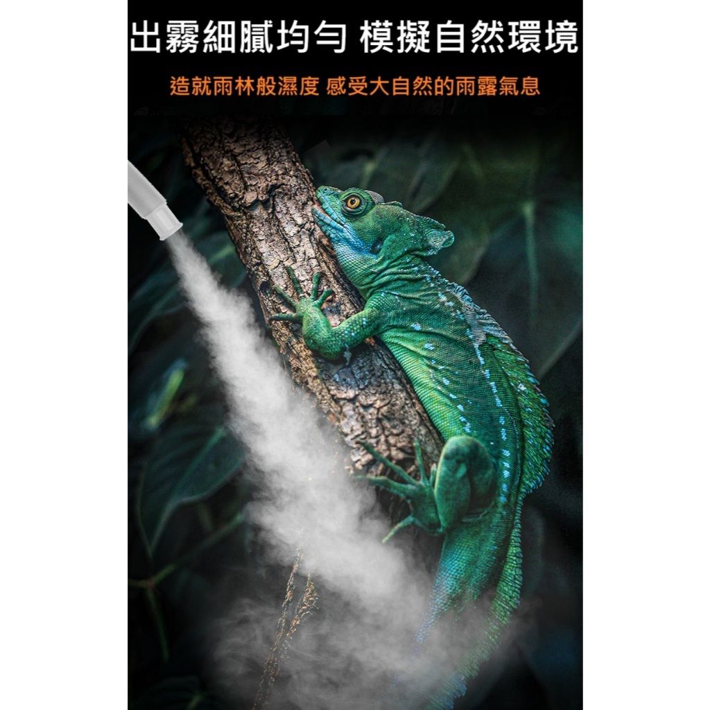 tw-11134207-7rbkd-maikogrvqzx41b