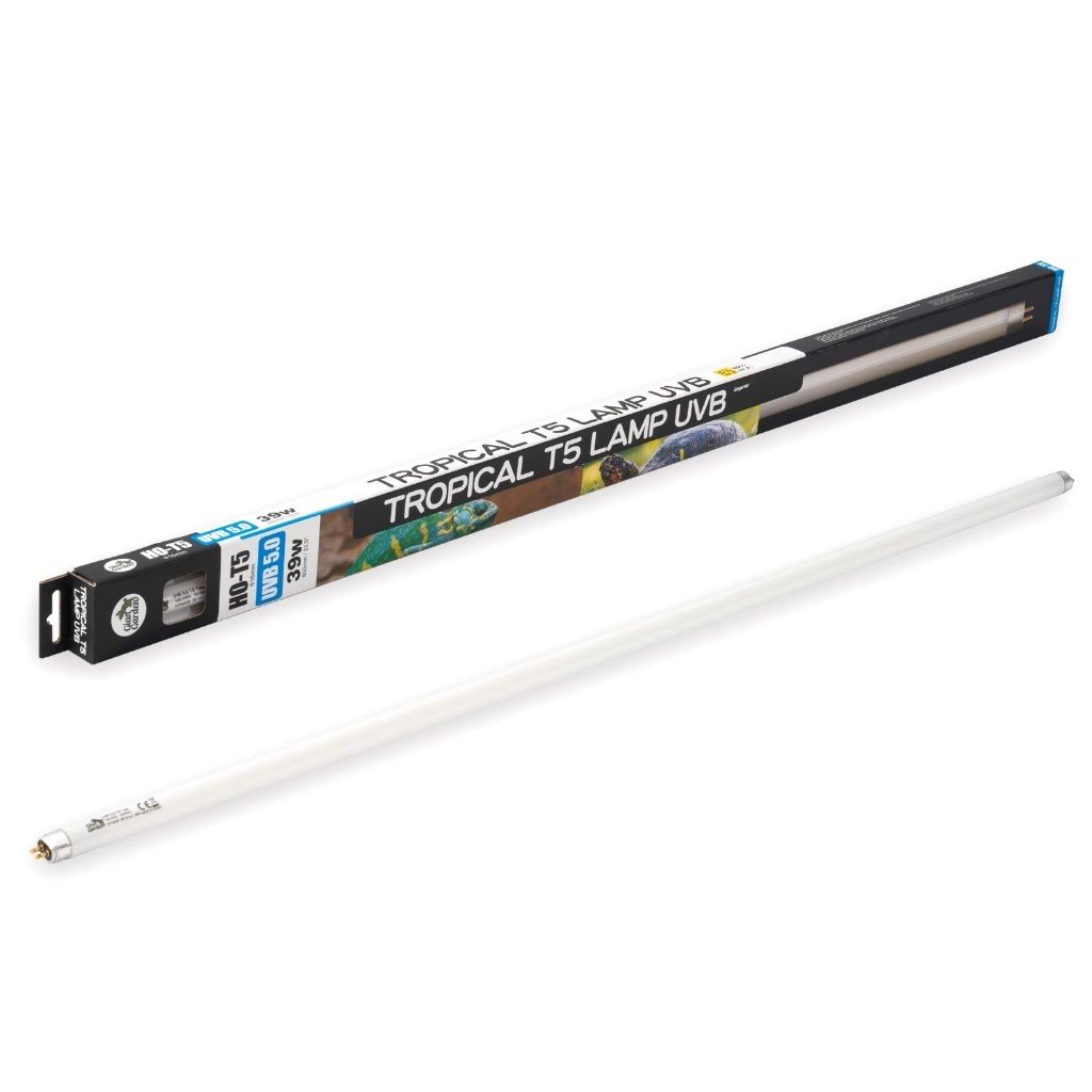 tw-11134207-7rbk9-mazbokwun2exf0