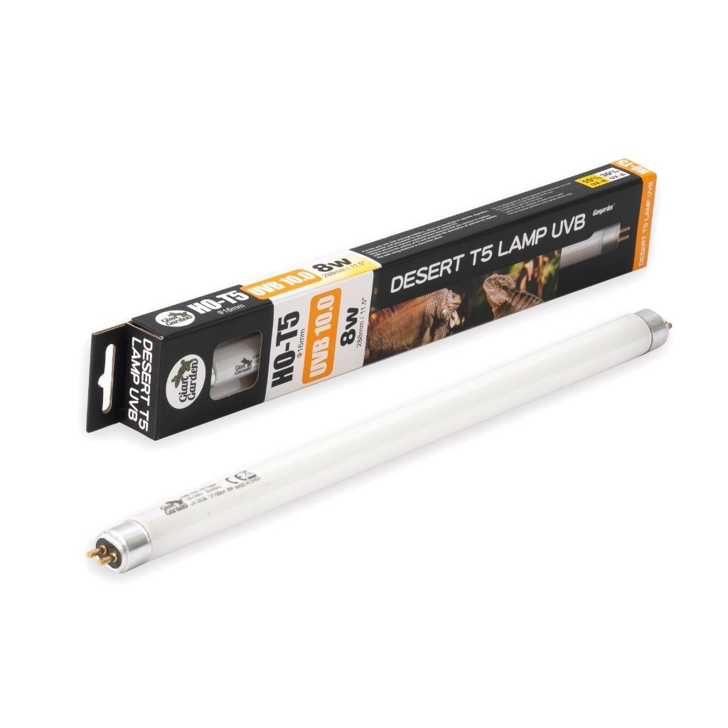 tw-11134207-7rbka-mazbonbf4dpy5a