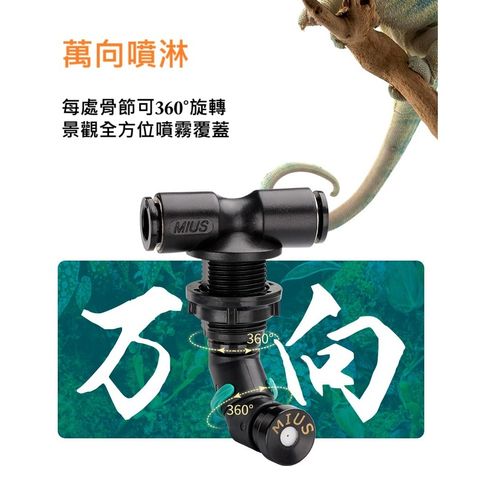 tw-11134207-7ra0r-mbqr5muy86029c