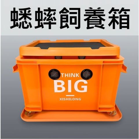 tw-11134207-7ra0q-mcarqjlaj2fw68