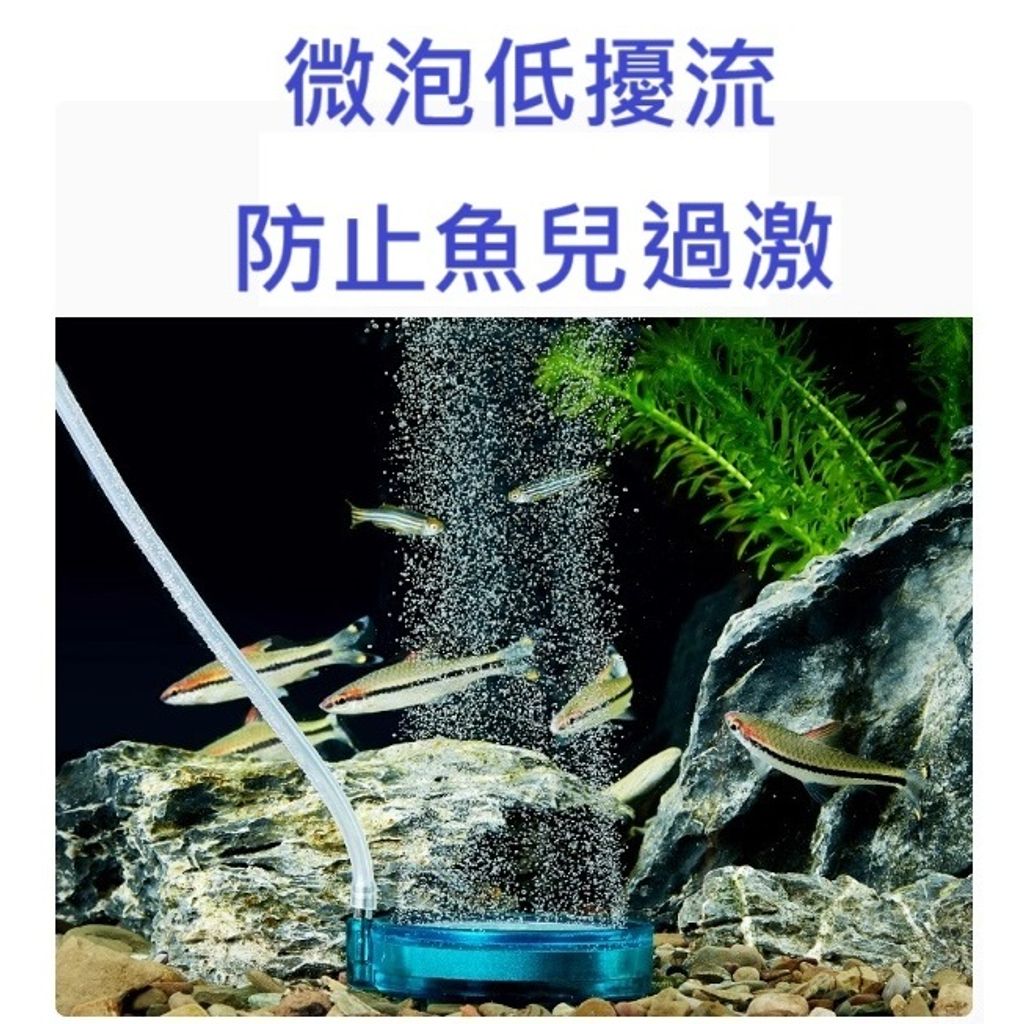 tw-11134207-7ra0l-mcoymyuvhu0wc6