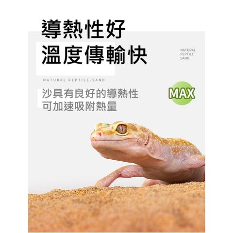 tw-11134207-7ra0p-mdepcsepzx1j3a