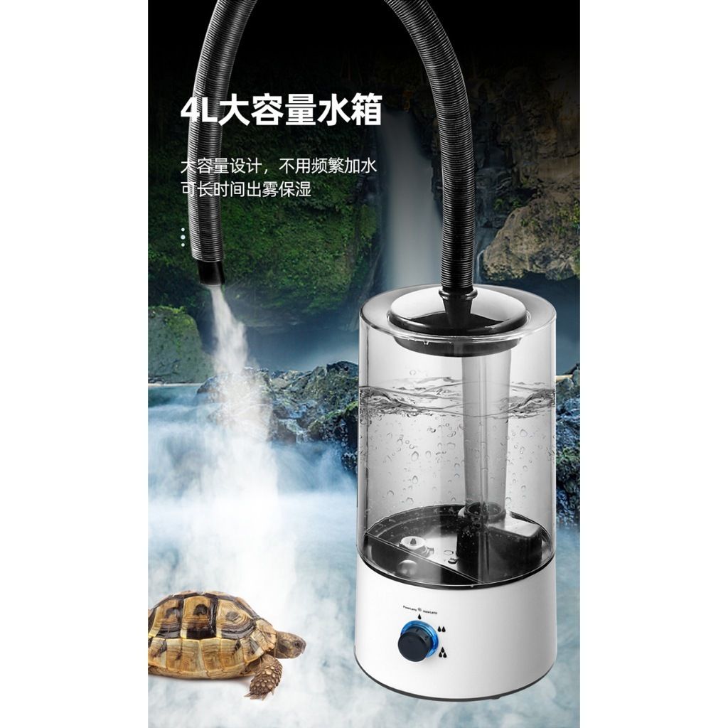 tw-11134207-81zte-meisgg5k4kch02