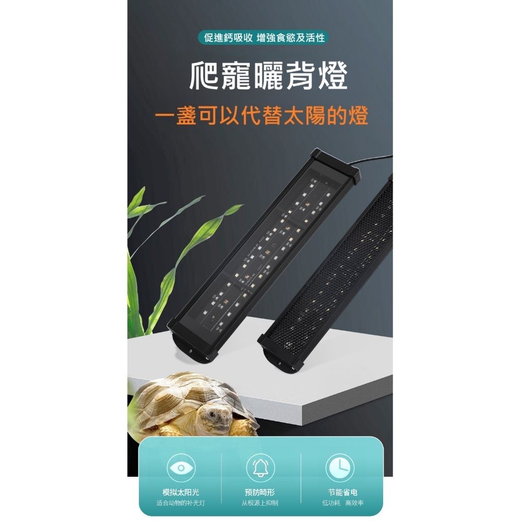 tw-11134207-81ztc-memxj0dvpxc2b0