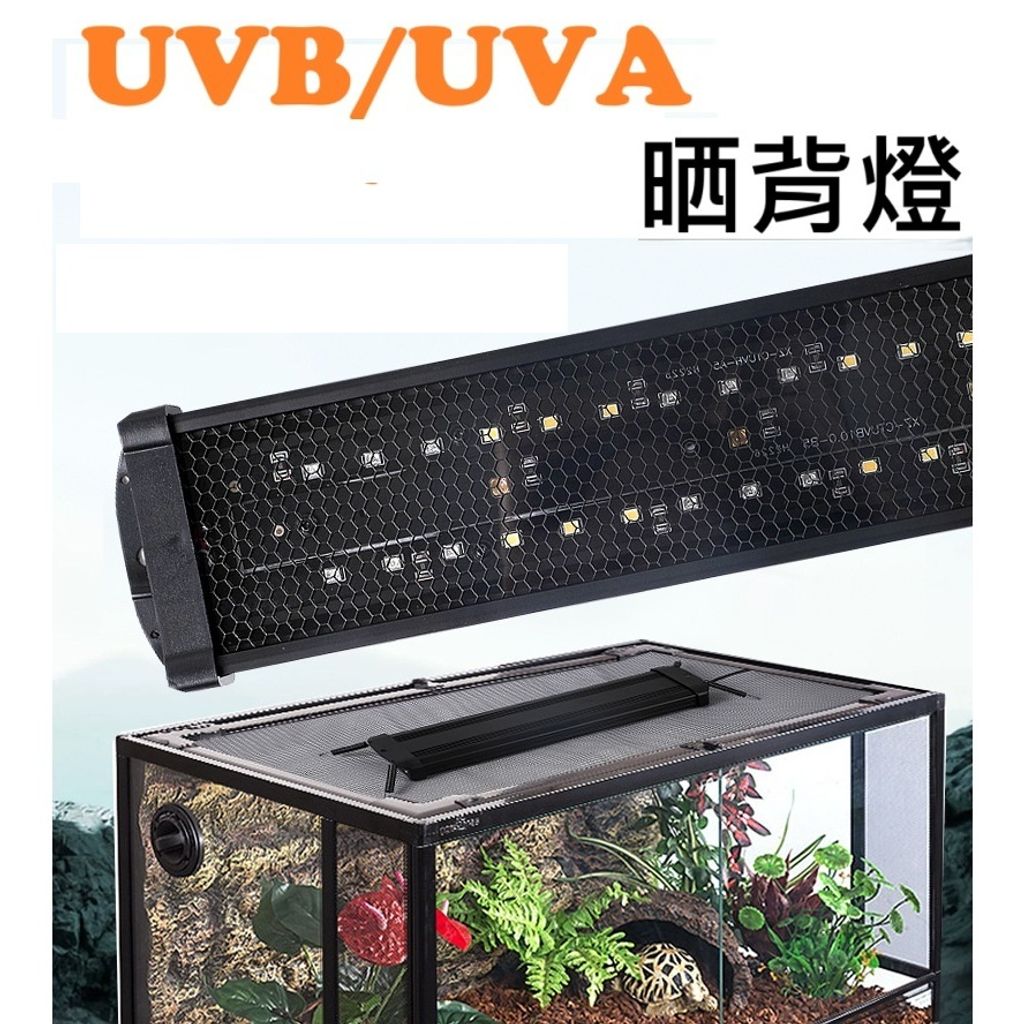 tw-11134207-81ztk-memxj0dvn47541