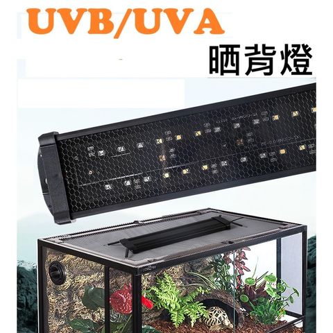 tw-11134207-81ztk-memxj0dvn47541