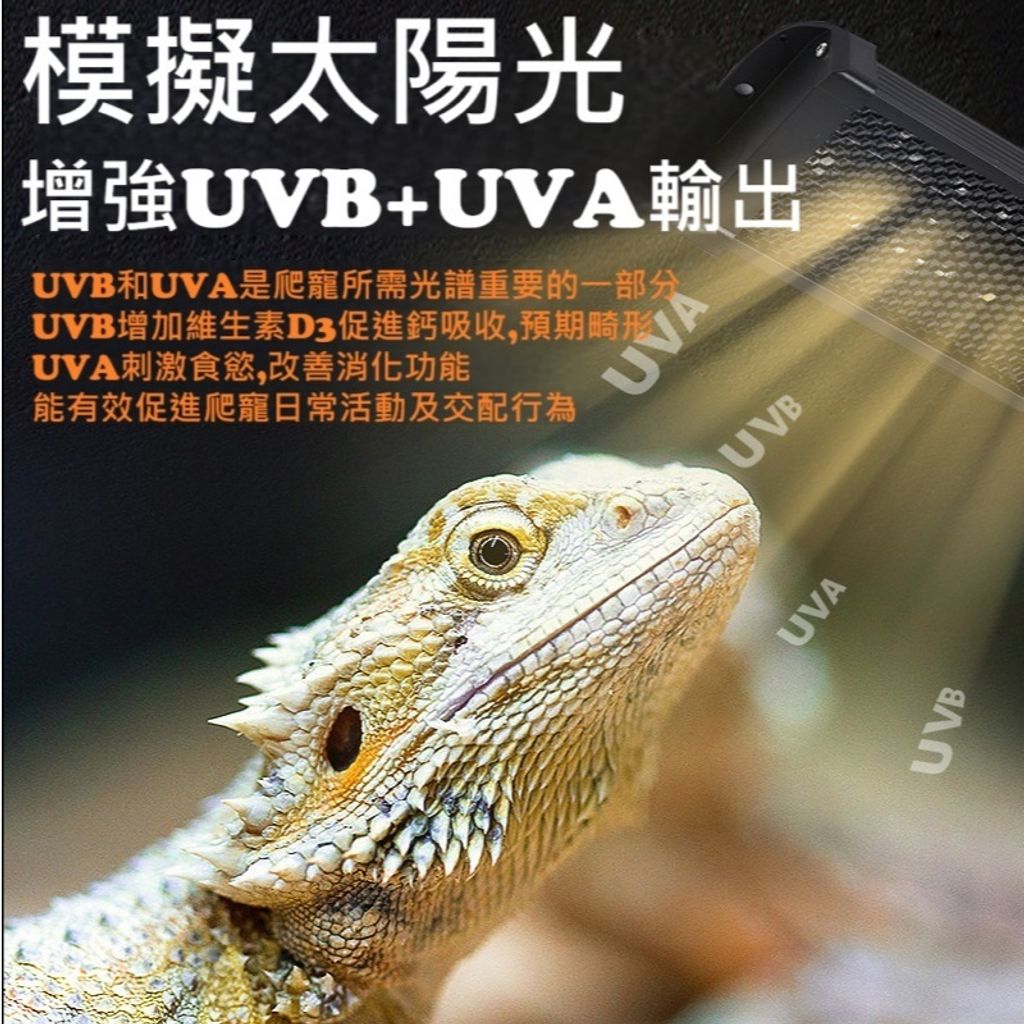 tw-11134207-81ztf-memxj0e0d2x0fd