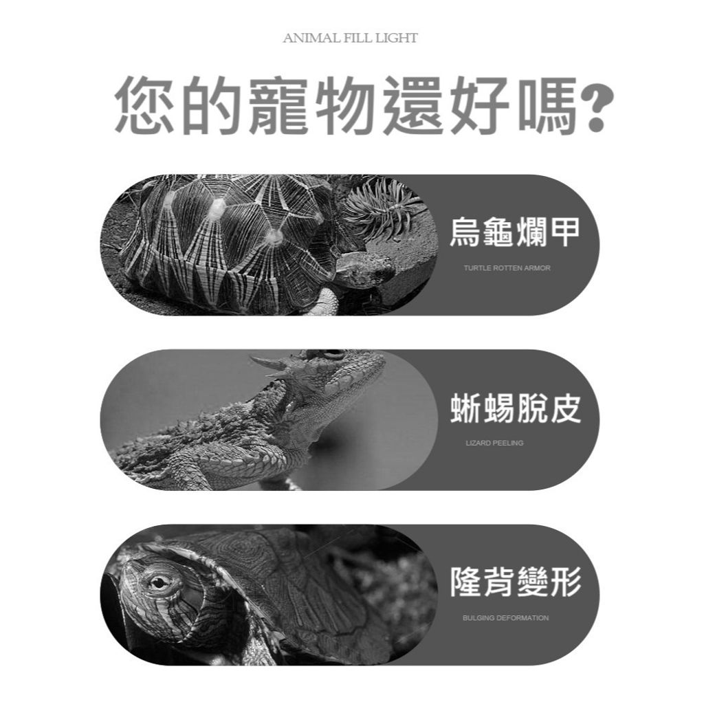 tw-11134207-81ztf-memxj0e0bockd4