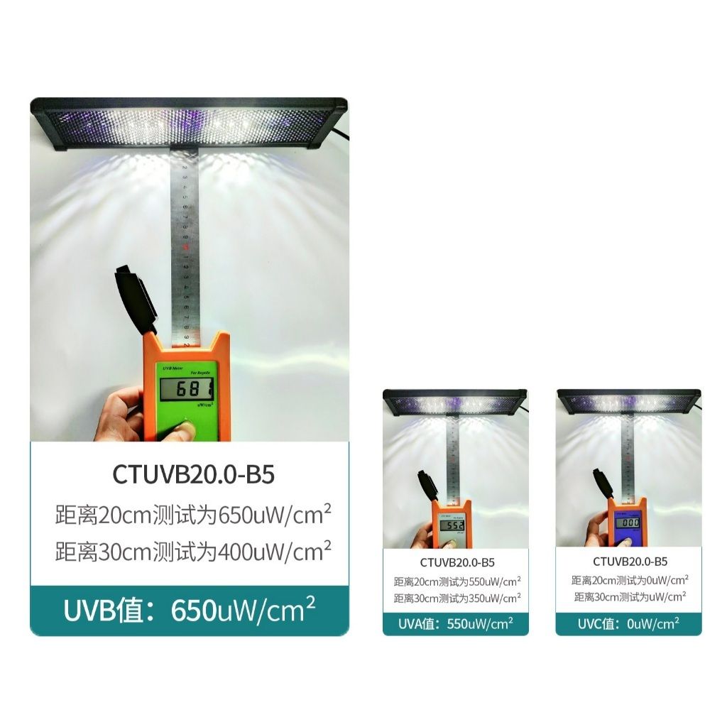 tw-11134207-81ztq-memxj0dlnitee7