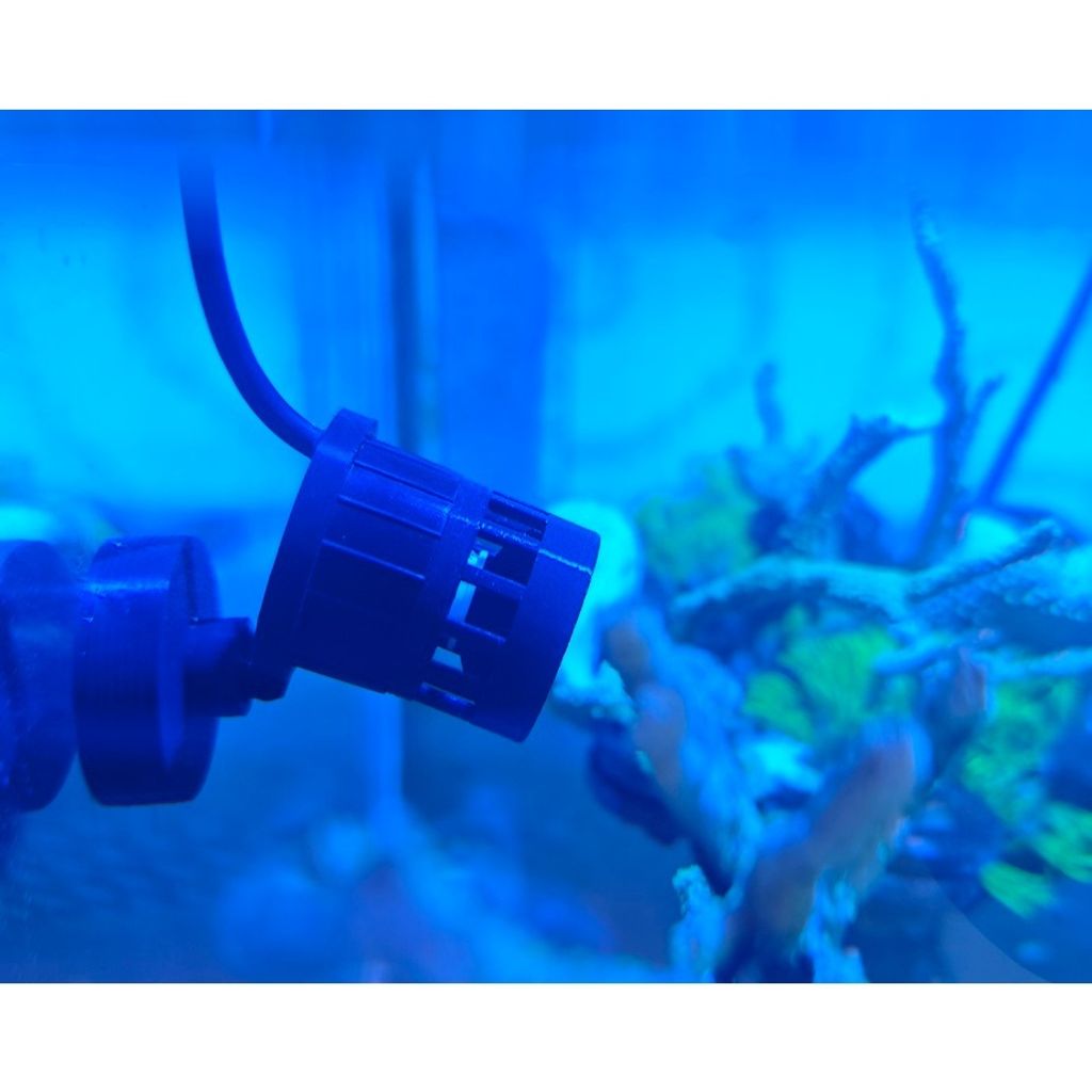 tw-11134207-81zth-mex1kjp0unsw03