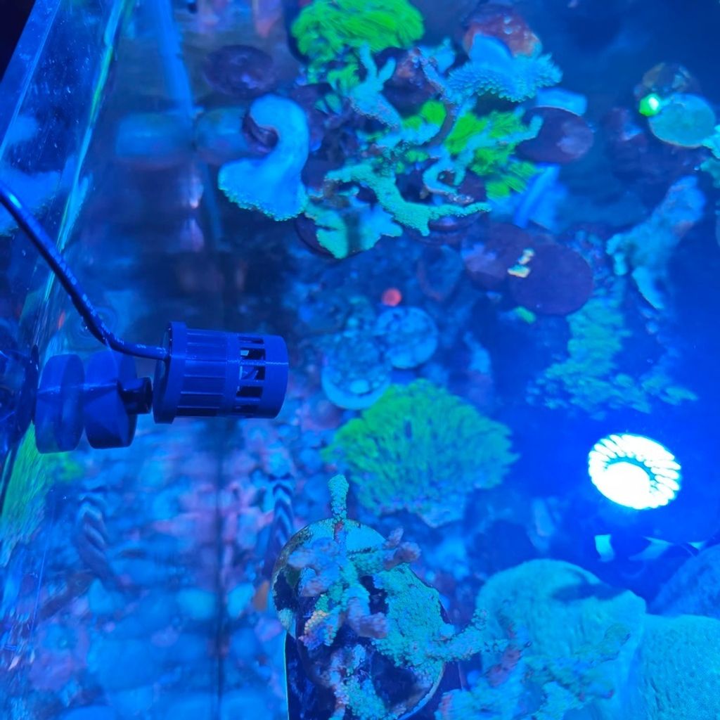 tw-11134207-81ztf-mex1kjp0w2dc21