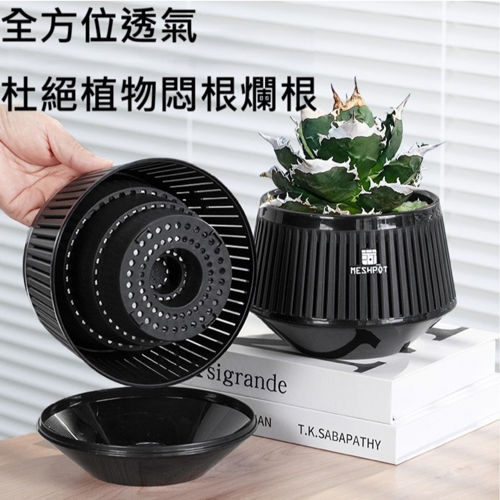 tw-11134207-81ztg-mf6ps33d82kvd8