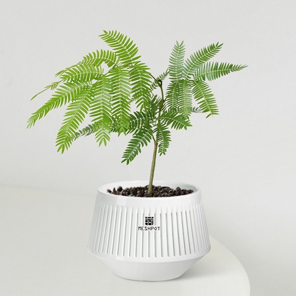 tw-11134207-81zti-mf6ps3389oga21