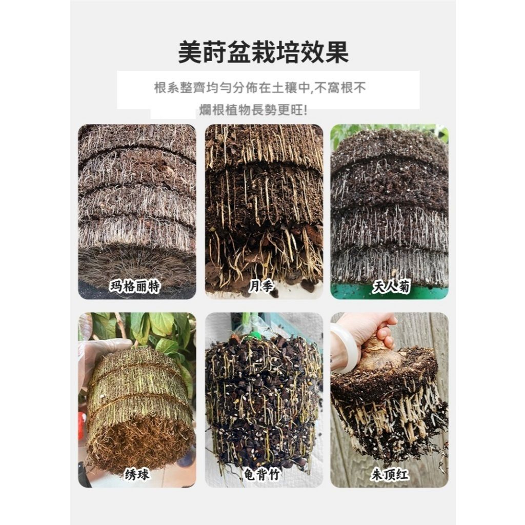 tw-11134207-81zto-mf6ps34c81zida