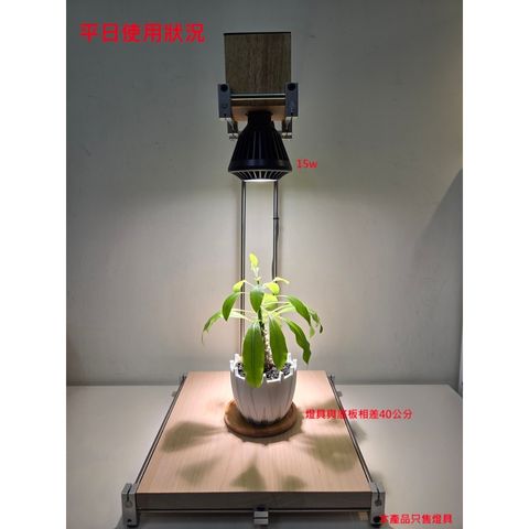 tw-11134207-81zte-mf883k36lhxo27