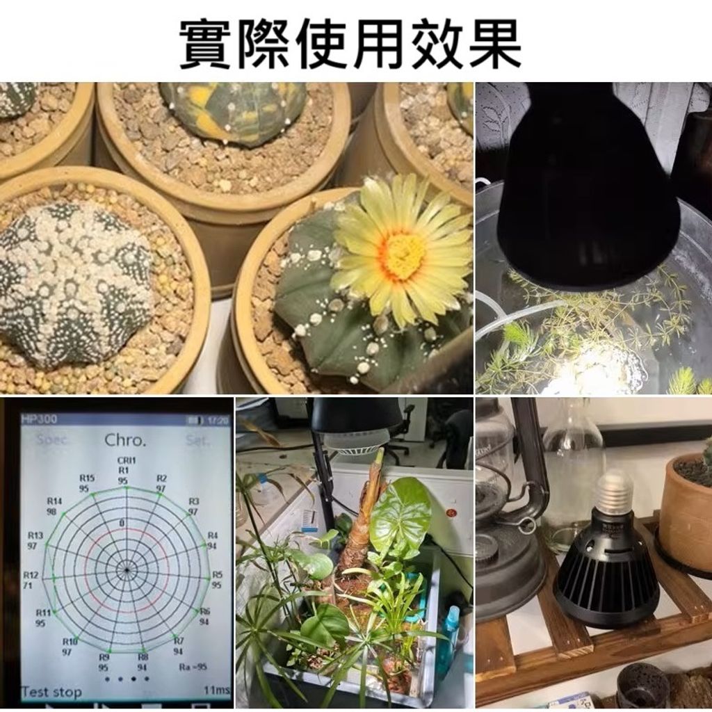 tw-11134207-81zti-mf883k31vj7xb4