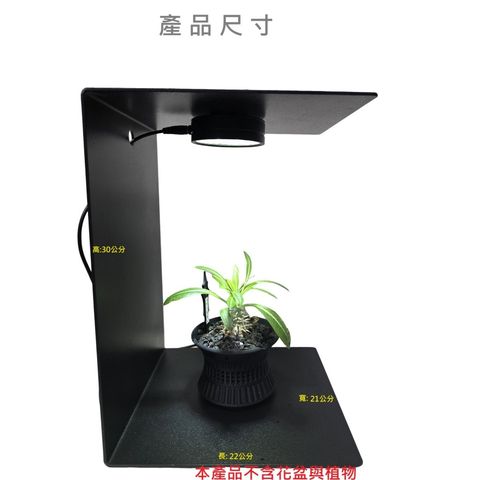 tw-11134207-81ztq-mfl81251xgr2a1