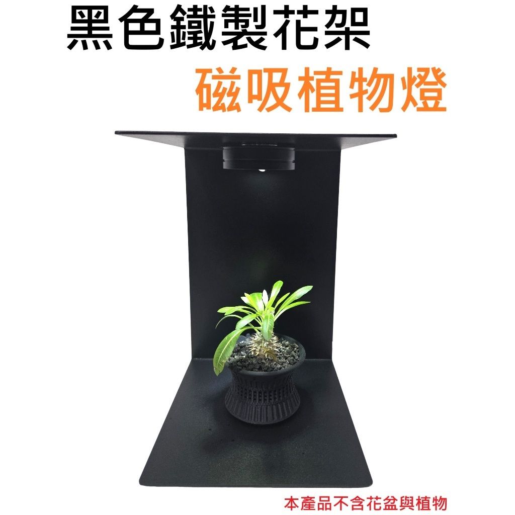 tw-11134207-81ztm-mfl81251nmrw0d