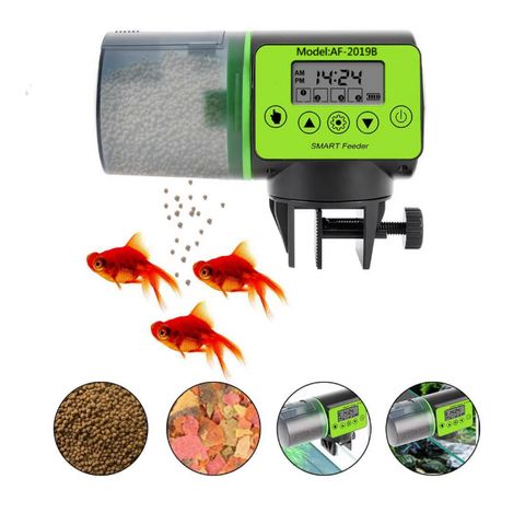 tw-11134207-81zth-mg9gwmrqpamk10