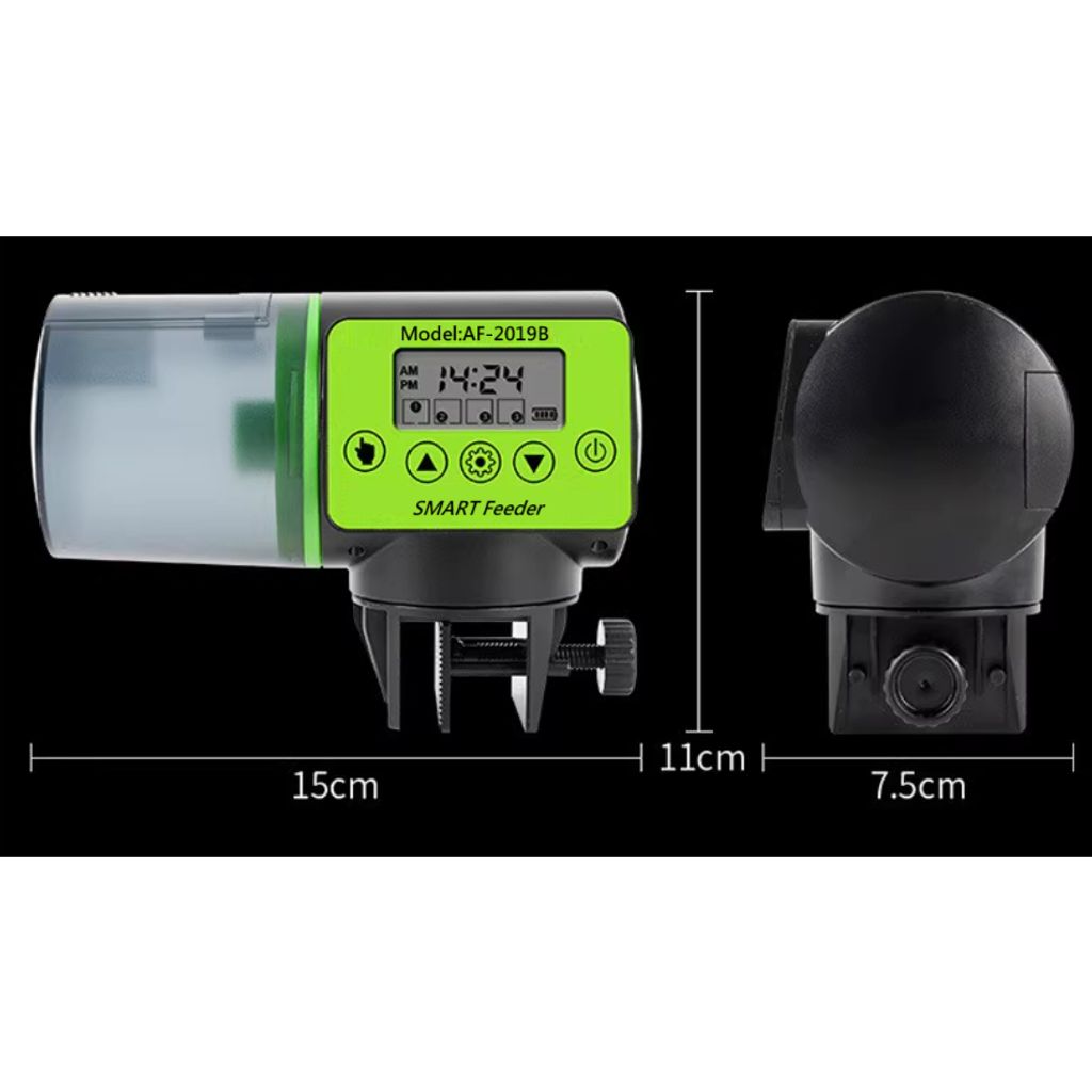 tw-11134207-81ztc-mg9gwmrxnbpqfe