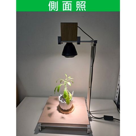 tw-11134207-81ztk-mg9jl32mpyby23