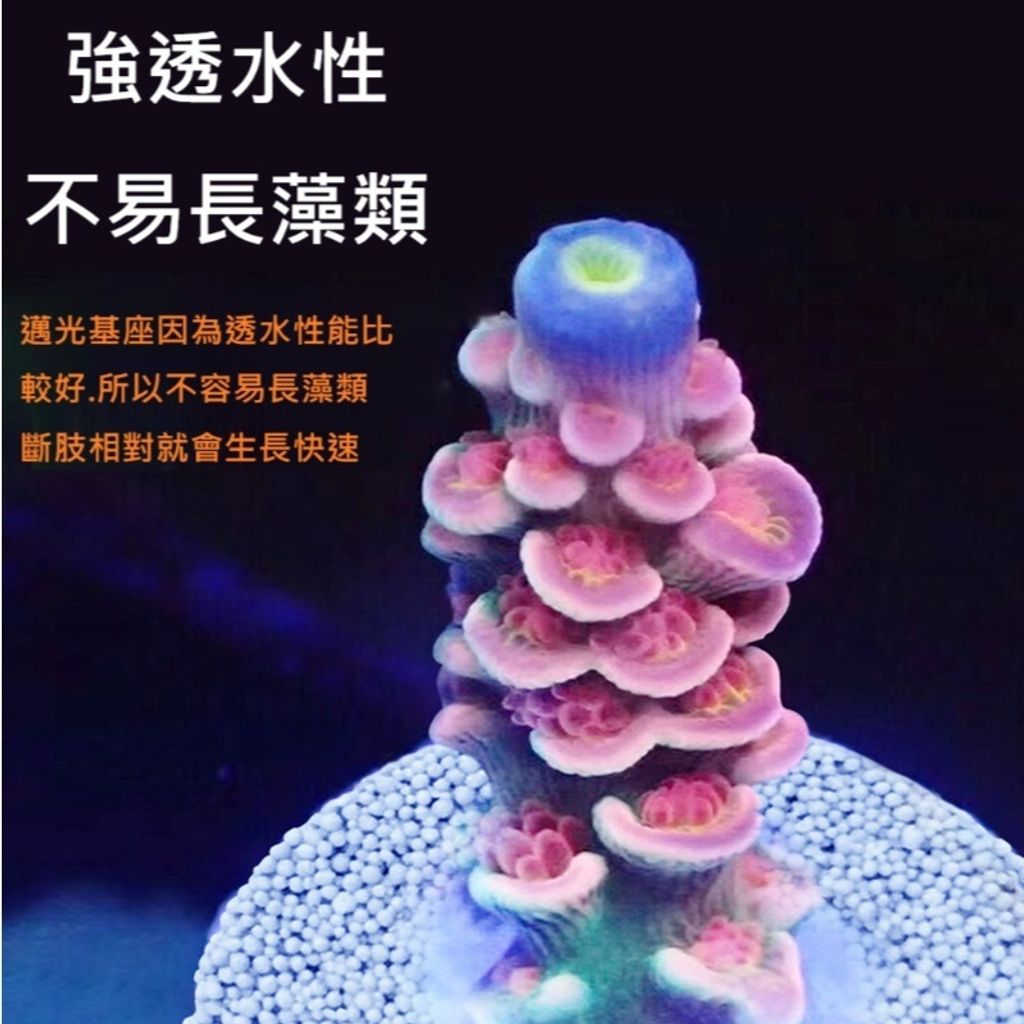 tw-11134207-81ztf-mgkxnqenwmbw67