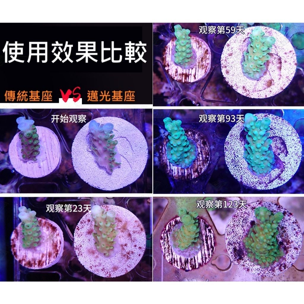 tw-11134207-81ztc-mgkxnqef0cumf3