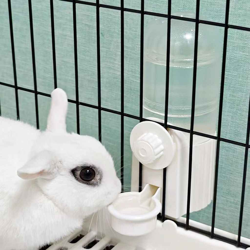 tw-11134207-81ztq-mgtb3wfk5r0ob3