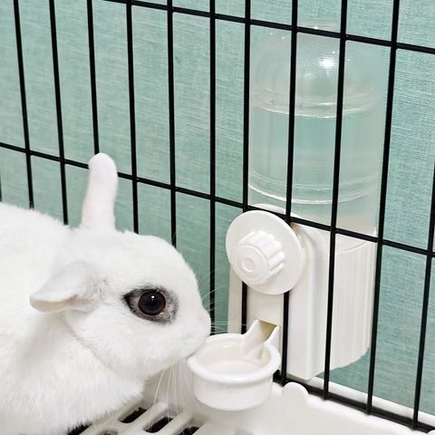 tw-11134207-81ztq-mgtb3wfk5r0ob3