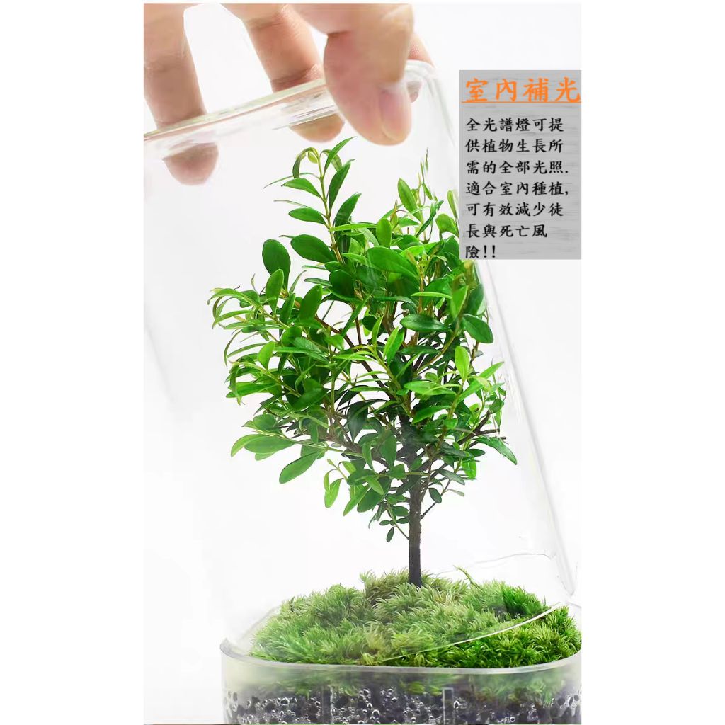 tw-11134207-81ztc-mgz0nu7of7kdeb