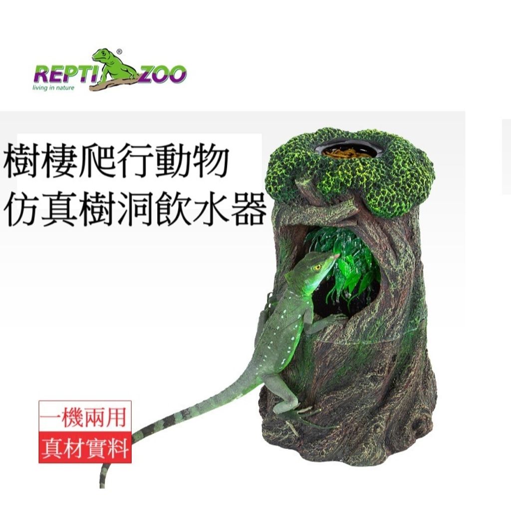 tw-11134207-81ztj-mhcv1m6wvh1l29