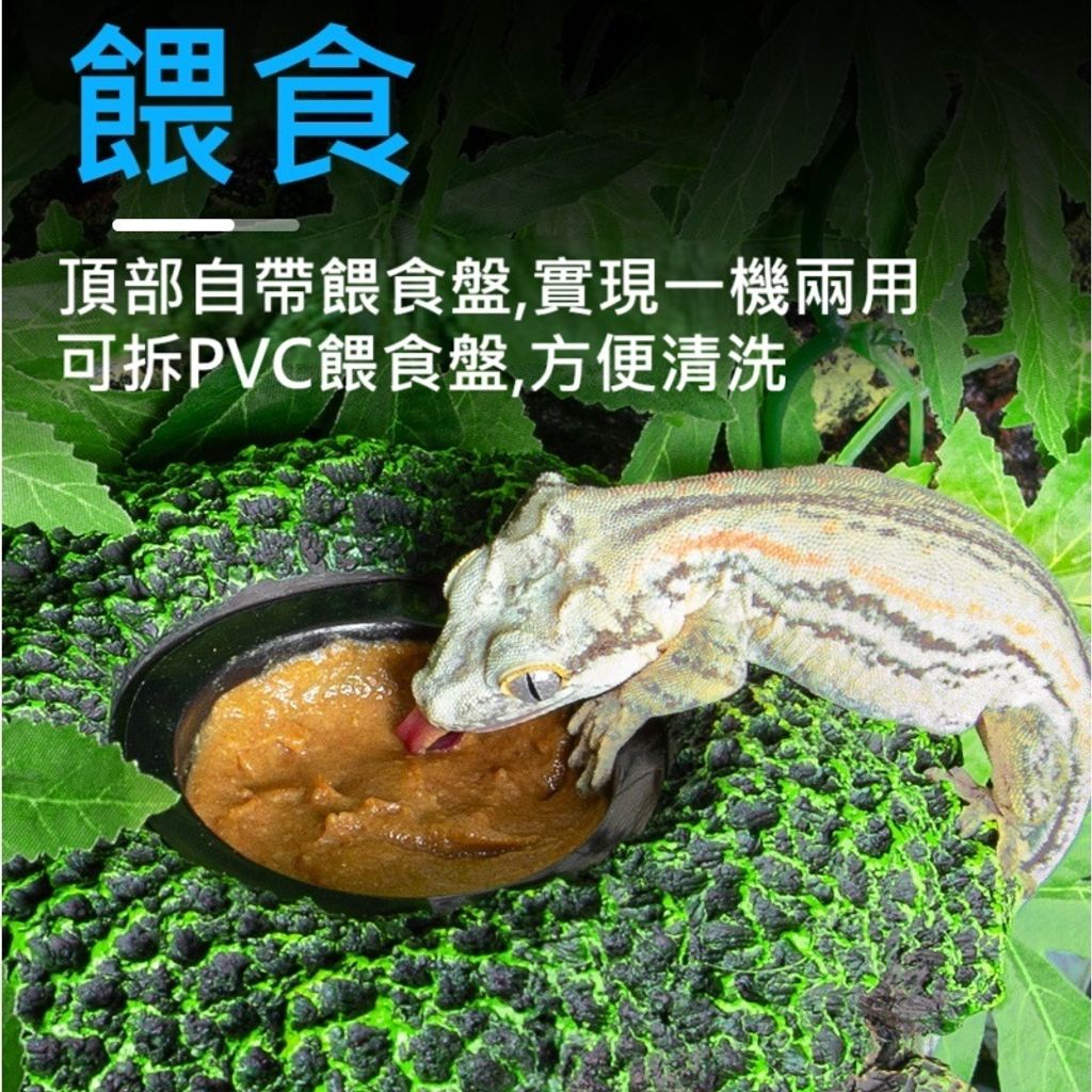 tw-11134207-81ztm-mhcv1m6wd7ny94