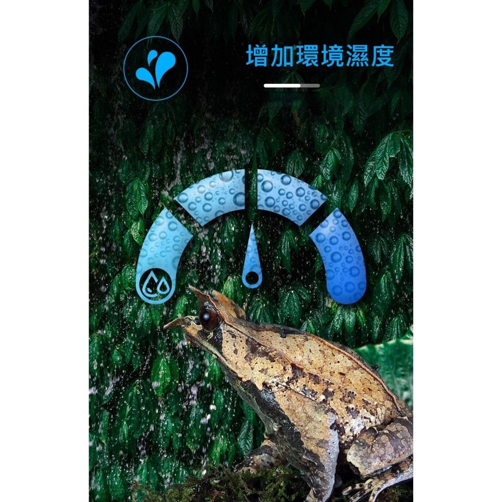 tw-11134207-81ztf-mhcv1m8pdds893