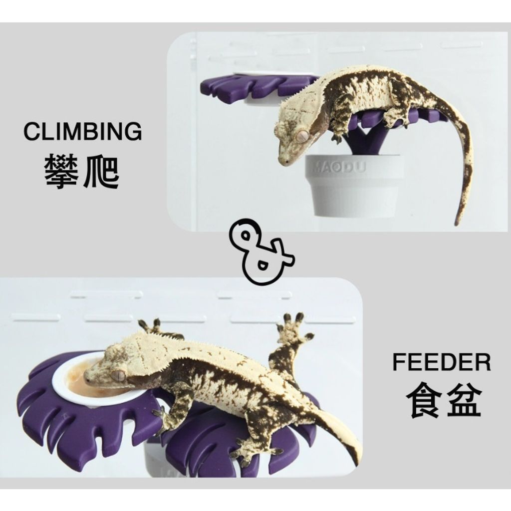 tw-11134207-81ztj-mhkni4bumy2se5