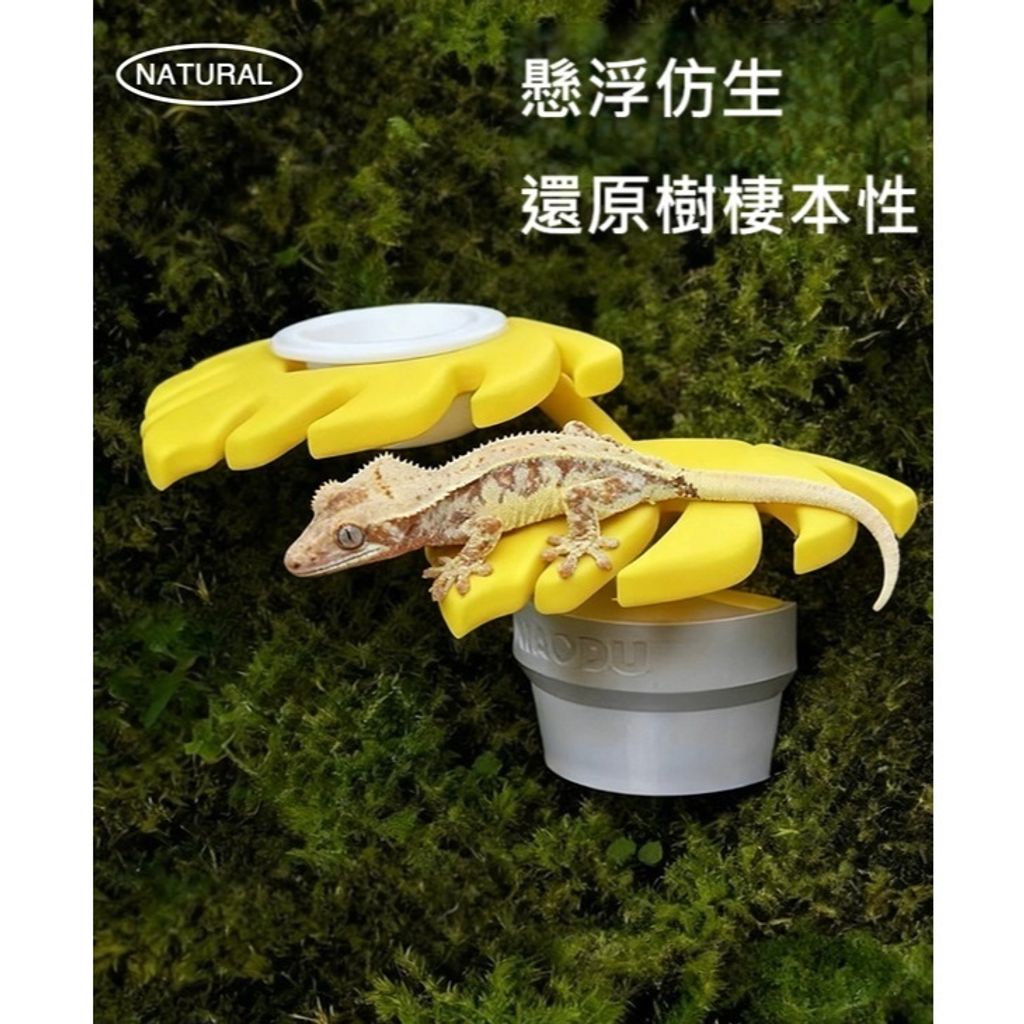 tw-11134207-81ztl-mhkni4c8bzewdc