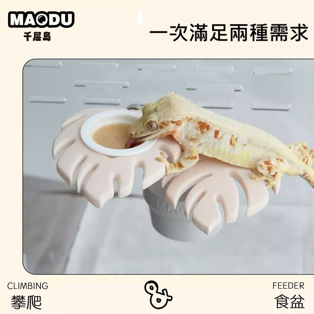 tw-11134207-81ztq-mhkni4c8ddzcd6