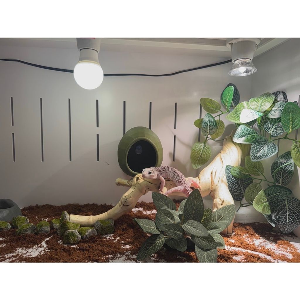 tw-11134207-81ztf-mhknzvb96gw222